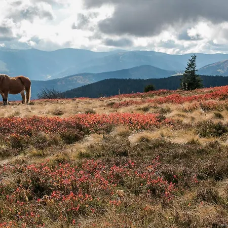 Ibis Saint-die 생디에데보주