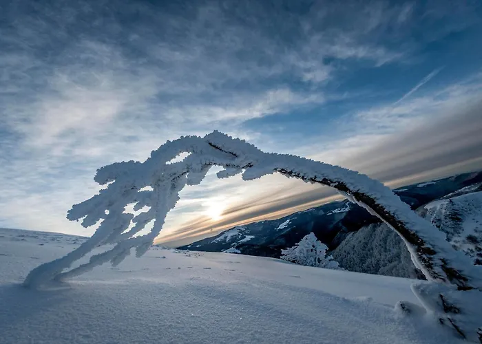 Ibis Saint-die Hotel 3*