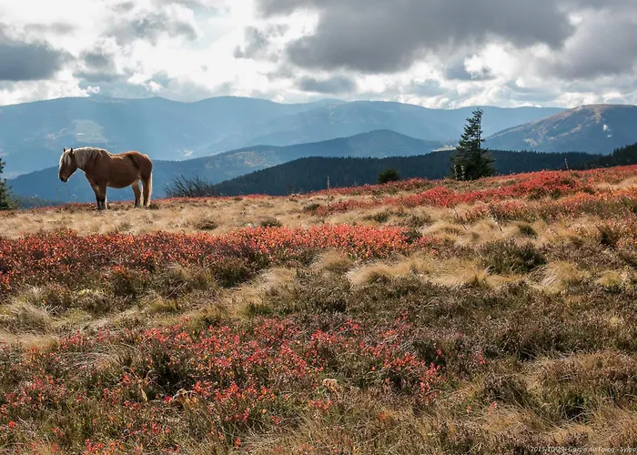 Ibis Saint-die Saint-Die-des-Vosges