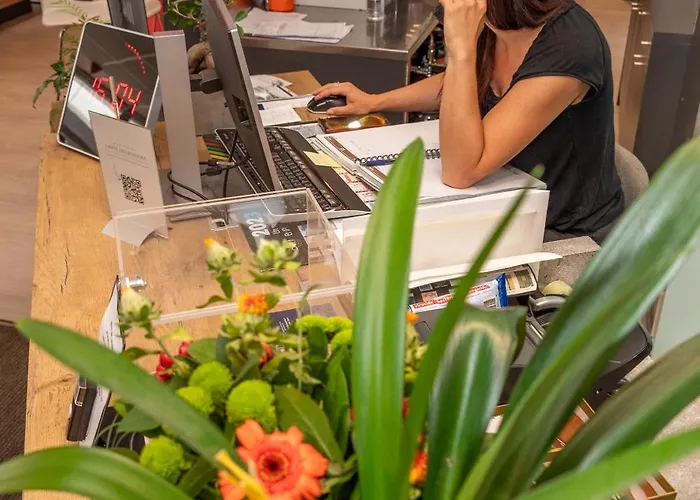 Hotel Ibis Saint-die 3*